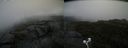 ./images/calvert/buxton2/20200821/buxton220200821_192503M.jpg