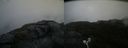 ./images/calvert/buxton2/20200822/buxton220200822_075503M.jpg