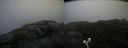 ./images/calvert/buxton2/20200822/buxton220200822_083503M.jpg