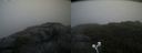 ./images/calvert/buxton2/20200822/buxton220200822_084502M.jpg