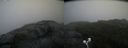 ./images/calvert/buxton2/20200822/buxton220200822_090503M.jpg