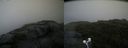 ./images/calvert/buxton2/20200822/buxton220200822_091503M.jpg