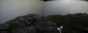 ./images/calvert/buxton2/20200822/buxton220200822_092002M.jpg