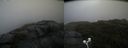 ./images/calvert/buxton2/20200822/buxton220200822_093502M.jpg