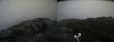 ./images/calvert/buxton2/20200822/buxton220200822_094502M.jpg