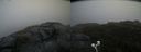 ./images/calvert/buxton2/20200822/buxton220200822_095503M.jpg