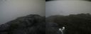 ./images/calvert/buxton2/20200822/buxton220200822_101503M.jpg