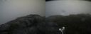 ./images/calvert/buxton2/20200822/buxton220200822_102502M.jpg