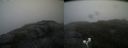 ./images/calvert/buxton2/20200822/buxton220200822_113503M.jpg