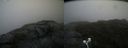 ./images/calvert/buxton2/20200822/buxton220200822_114003M.jpg