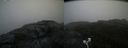 ./images/calvert/buxton2/20200822/buxton220200822_121502M.jpg