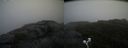./images/calvert/buxton2/20200822/buxton220200822_131003M.jpg