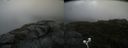 ./images/calvert/buxton2/20200822/buxton220200822_131503M.jpg