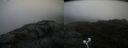 ./images/calvert/buxton2/20200822/buxton220200822_132503M.jpg