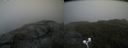 ./images/calvert/buxton2/20200822/buxton220200822_155002M.jpg