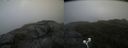 ./images/calvert/buxton2/20200822/buxton220200822_155502M.jpg