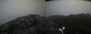 ./images/calvert/buxton2/20200822/buxton220200822_165003M.jpg