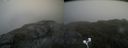 ./images/calvert/buxton2/20200822/buxton220200822_165502M.jpg