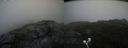 ./images/calvert/buxton2/20200822/buxton220200822_170503M.jpg