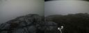 ./images/calvert/buxton2/20200822/buxton220200822_202003M.jpg