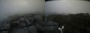 ./images/calvert/buxton2/20200823/buxton220200823_144003M.jpg