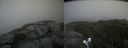 ./images/calvert/buxton2/20200823/buxton220200823_164502M.jpg