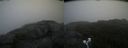 ./images/calvert/buxton2/20200824/buxton220200824_074502M.jpg