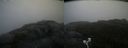 ./images/calvert/buxton2/20200824/buxton220200824_085003M.jpg