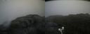 ./images/calvert/buxton2/20200824/buxton220200824_101002M.jpg
