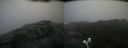 ./images/calvert/buxton2/20200824/buxton220200824_104502M.jpg