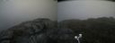 ./images/calvert/buxton2/20200824/buxton220200824_113503M.jpg