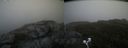 ./images/calvert/buxton2/20200824/buxton220200824_120503M.jpg