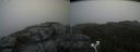 ./images/calvert/buxton2/20200824/buxton220200824_125502M.jpg