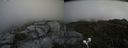 ./images/calvert/buxton2/20200824/buxton220200824_145502M.jpg
