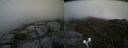 ./images/calvert/buxton2/20200824/buxton220200824_154002M.jpg
