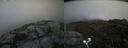 ./images/calvert/buxton2/20200824/buxton220200824_160003M.jpg