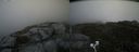 ./images/calvert/buxton2/20200824/buxton220200824_162503M.jpg