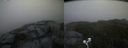 ./images/calvert/buxton2/20200824/buxton220200824_202003M.jpg