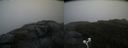 ./images/calvert/buxton2/20200826/buxton220200826_072002M.jpg