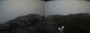 ./images/calvert/buxton2/20200826/buxton220200826_091503M.jpg