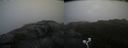 ./images/calvert/buxton2/20200826/buxton220200826_094503M.jpg