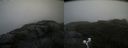 ./images/calvert/buxton2/20200826/buxton220200826_121503M.jpg