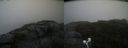 ./images/calvert/buxton2/20200826/buxton220200826_122003M.jpg