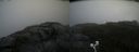 ./images/calvert/buxton2/20200826/buxton220200826_122503M.jpg