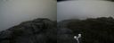 ./images/calvert/buxton2/20200826/buxton220200826_125502M.jpg