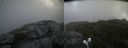 ./images/calvert/buxton2/20200826/buxton220200826_152003M.jpg