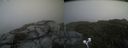 ./images/calvert/buxton2/20200826/buxton220200826_155002M.jpg