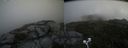 ./images/calvert/buxton2/20200826/buxton220200826_155502M.jpg