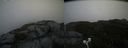 ./images/calvert/buxton2/20200827/buxton220200827_125502M.jpg