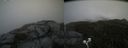 ./images/calvert/buxton2/20200827/buxton220200827_131502M.jpg